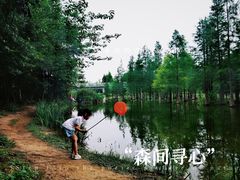 -白鹭湾湿地公园