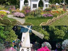 -上海共青森林公园