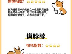 -翊宠yipet猫狗购宠庄园犬舍•猫舍