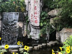 -广州市流溪河国家森林公园