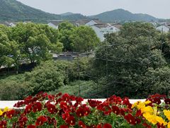 -树山生态村
