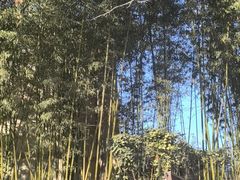 -春晖园度假酒店温泉