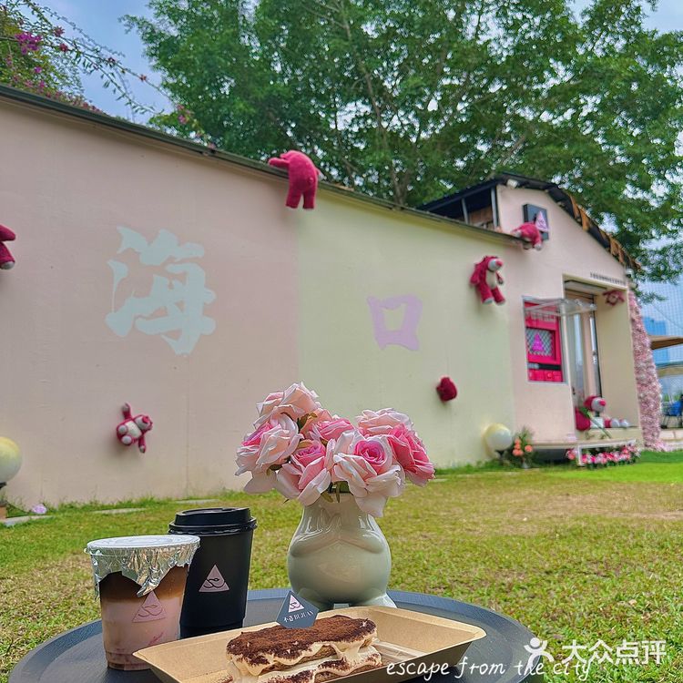 海口宠物友好咖啡店/不卷咖啡