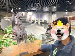 -北京周口店北京人遗址博物馆