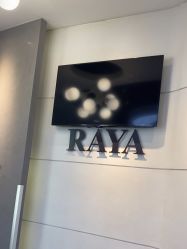 -RAYA韩国造型