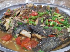 剑骨鱼-柴火农家饭(遇龙河店)