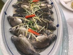 -寻味顺德·南记酒家·传统顺德菜·鱼生(广源路店)