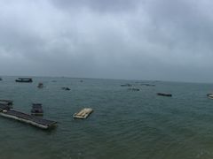 -北海金海湾红树林生态旅游区