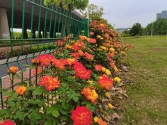 -石湖景区