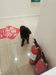 -SILKTONE诗丽堂美容