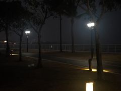 -野狸岛