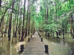 -桤木河湿地公园