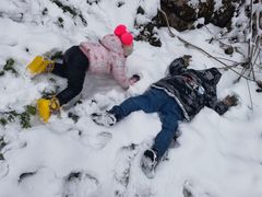 -武陵山森林公园