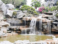 -东莞植物园