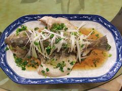 -田螺阿姨自营月嫂·育儿嫂(高新店)