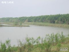 -大湾区中央湿地公园