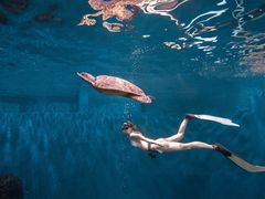 -苏州海洋馆