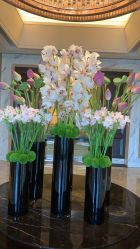 -巍阁高端月子会所