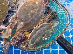 -驻海渔市(置信店)