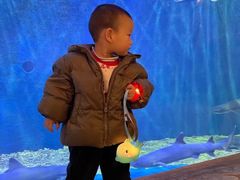 -华夏文旅海洋公园