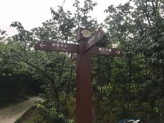 -三圣花乡旅游区