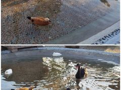 -珠海海泉湾神秘岛亲子乐园