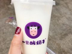 -一只酸奶牛(八一路店)
