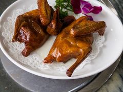 -鸽鸟轩(石岐店)
