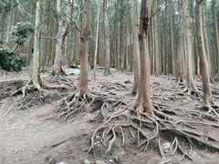 -含鄱口