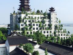 -龙天小镇