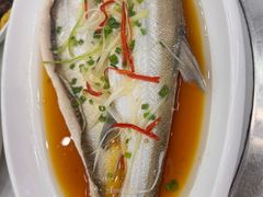 -丹水桥地锅鱼·翘嘴鲌·地方特色全鱼宴(丹江口大坝店)