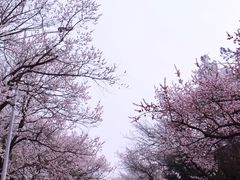 -吉林大学(南岭校区)