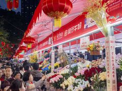 -越秀西湖花市(广州城市广场花卉店)
