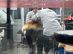 -宠物家(大兴旧宫店)