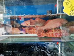 -众彩物流水产市场