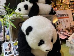 -轩客会(熊猫书店)