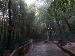 -灵岩山风景区