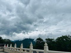 -庐山风景名胜区-东林大佛