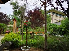 -华山御温泉度假村