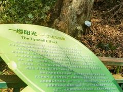 -西双版纳原始森林公园