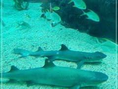 -鸿通城购物中心