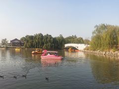 -天津水上公园