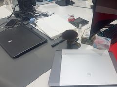 -外星人戴尔官方售后维修总站(来福士店)