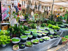 -秦美花卉(天朗·莱茵小城2期店)