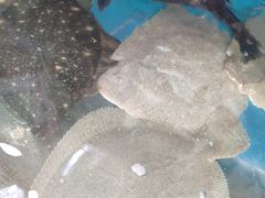 -聚德福海鲜家常菜(刘庄店)