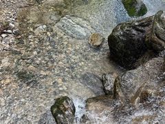 -牛背梁国家森林公园