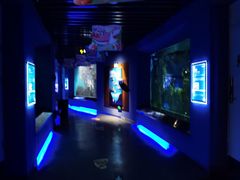-石家庄海洋公园