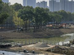 -后襄河公园