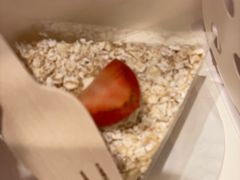燕麦蛋糕-COVA(环贸iapm店)