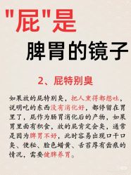 -玛莲朵·海菲秀冰珀科